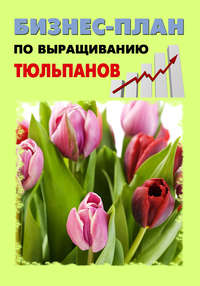 Автор неизвестен - Бизнес-план по выращиванию хризантемы скачать бесплатно