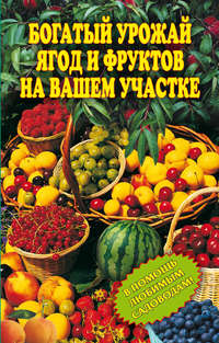 Муртазина Ирина - Богатый урожай ягод и фруктов на вашем участке. В помощь любимым садоводам! скачать бесплатно