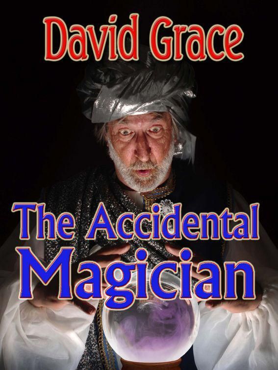 Grace David - The Accidental Magician скачать бесплатно