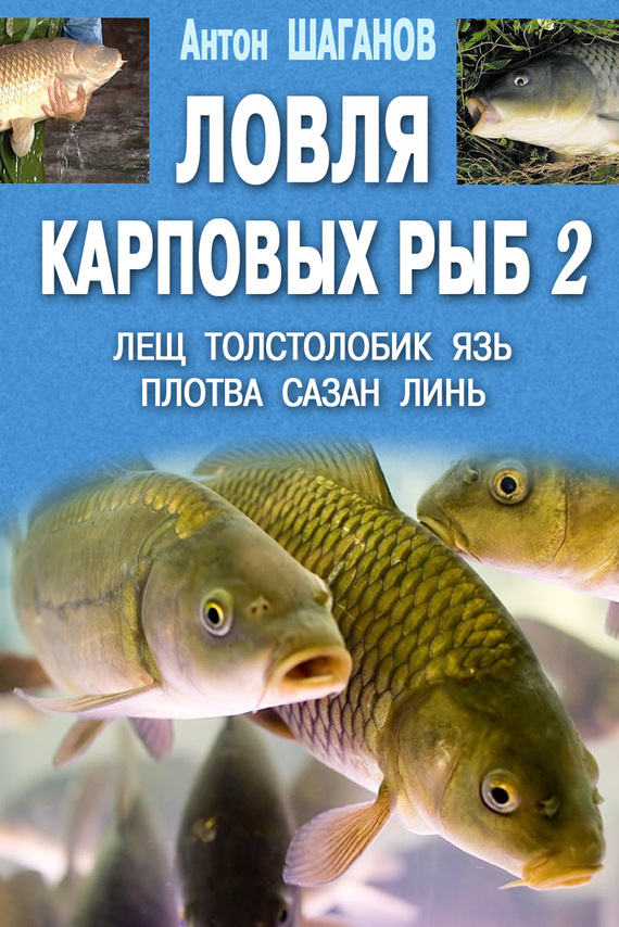 Шаганов Антон - Ловля карповых рыб – 2 скачать бесплатно