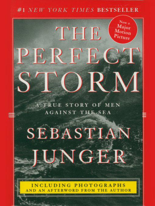 Junger Sebastian - The Perfect Storm скачать бесплатно