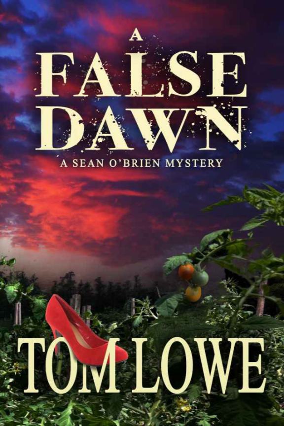 Lowe Tom - A False Dawn скачать бесплатно