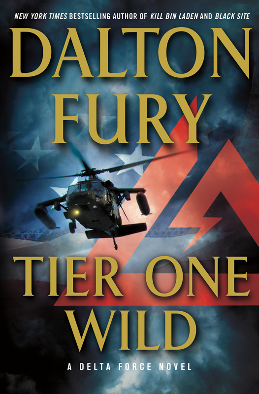 Fury Dalton - Tier One Wild скачать бесплатно