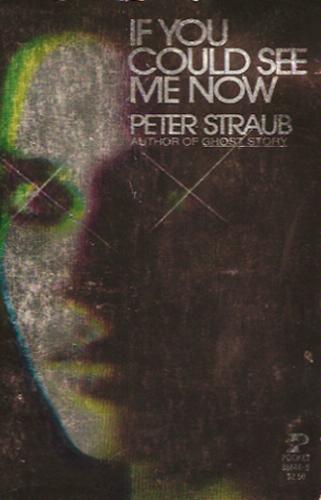 Straub Peter - If You Could See Me Now скачать бесплатно