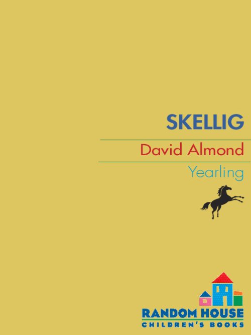 Almond David - Skellig скачать бесплатно