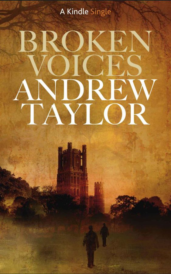 Taylor Andrew - Broken Voices скачать бесплатно