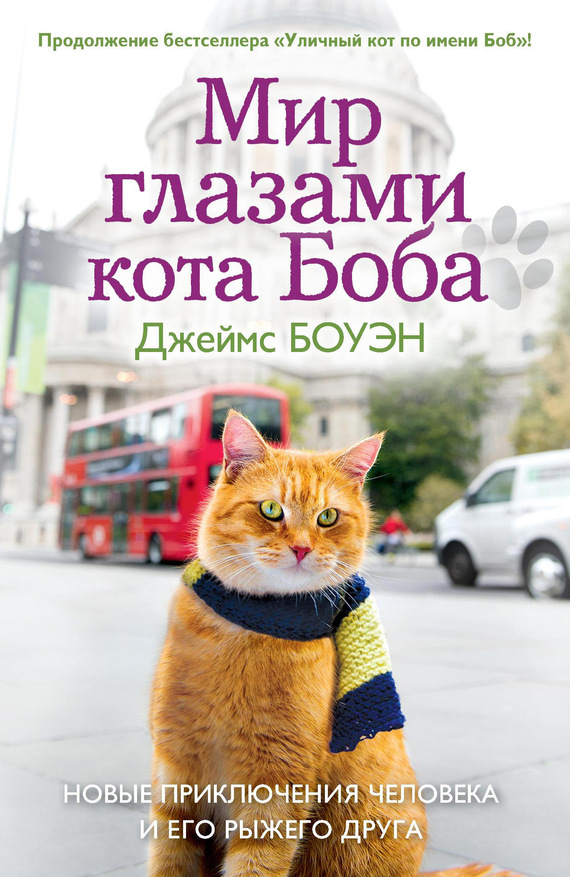 Боуэн Джеймс - Мир глазами кота Боба. Новые приключения человека и его рыжего друга скачать бесплатно