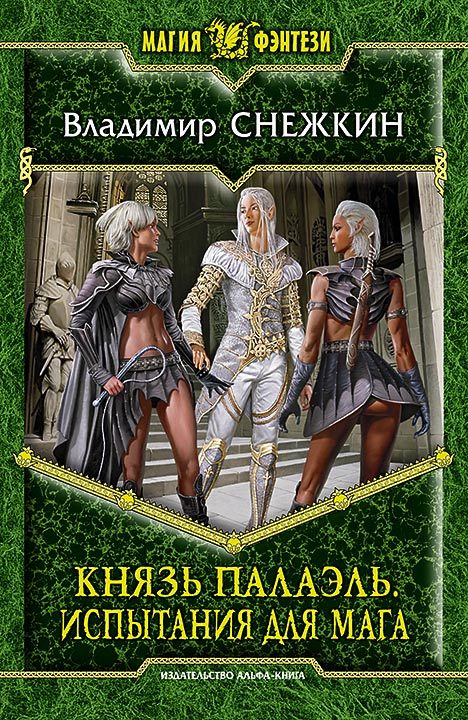 Снежкин Владимир - Князь Палаэль. Испытания для мага скачать бесплатно