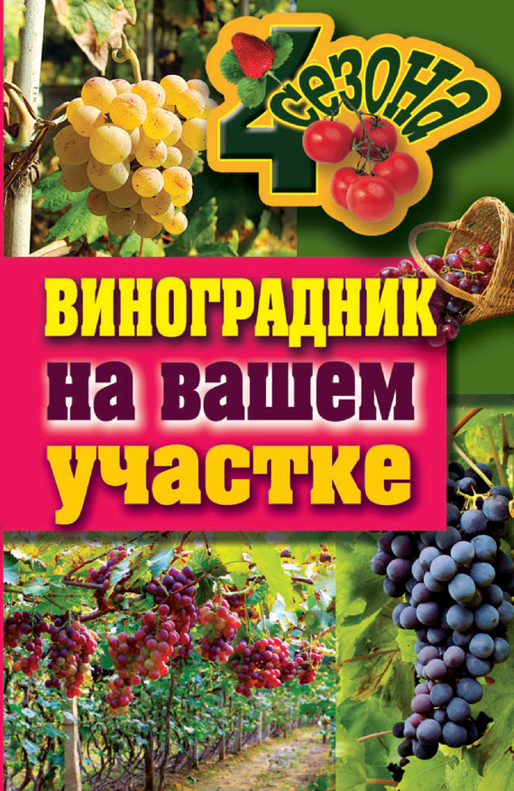 Животовская Екатерина - Виноградник на вашем участке скачать бесплатно
