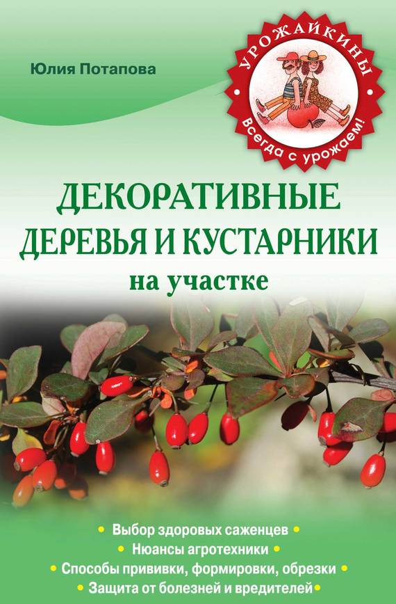 Потапова Юлия - Декоративные деревья и кустарники на участке скачать бесплатно