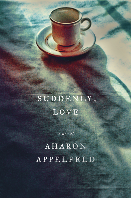 Appelfeld Aharon - Suddenly, Love скачать бесплатно