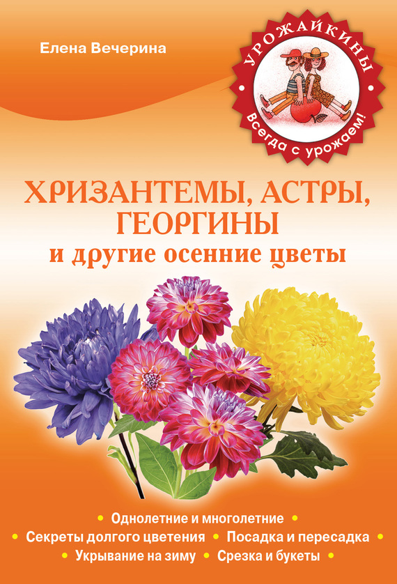 Вечерина Елена - Хризантемы, астры, георгины и другие осенние цветы скачать бесплатно