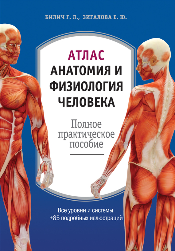 Зигалова Елена - Атлас: анатомия и физиология человека. Полное практическое пособие скачать бесплатно