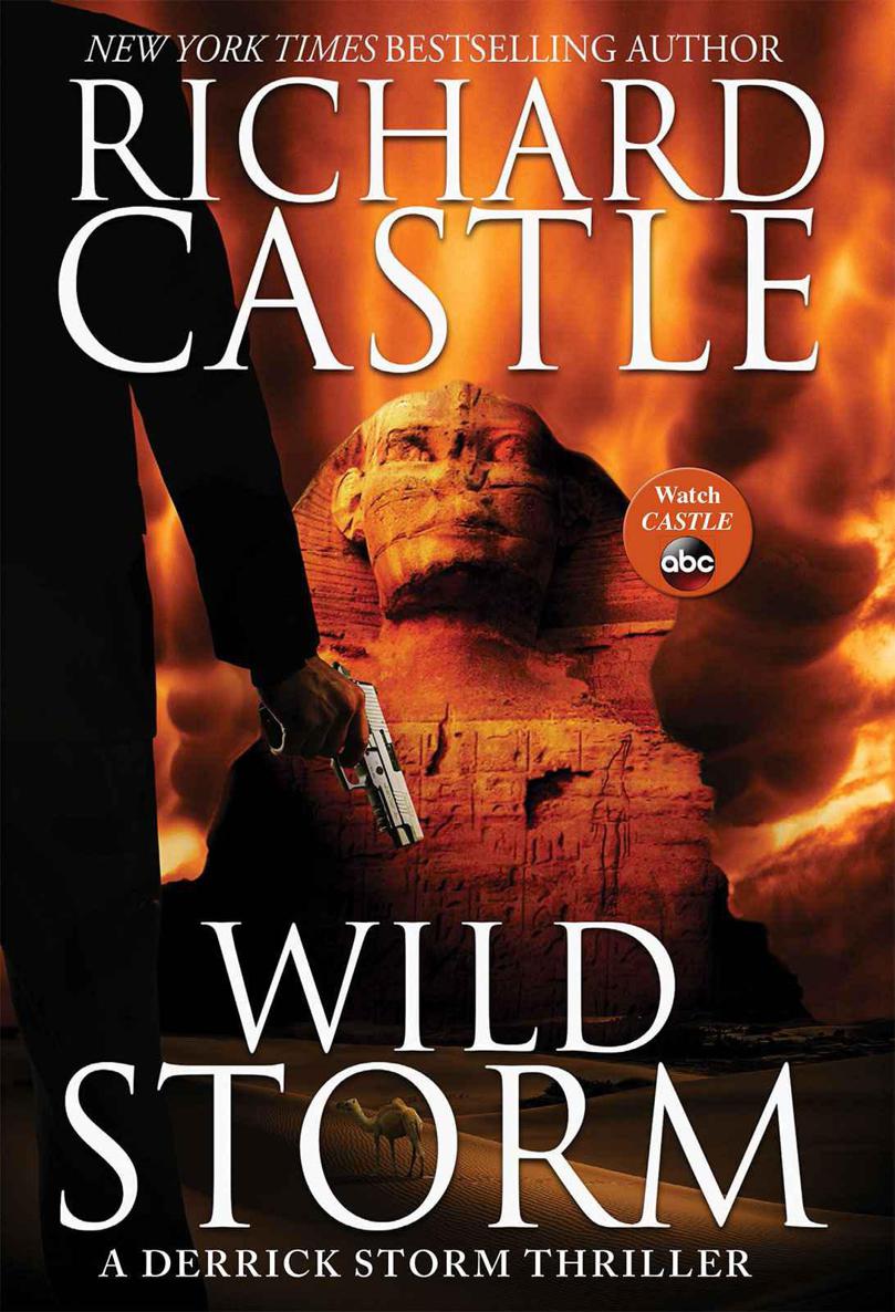 Castle Richard - Wild Storm скачать бесплатно