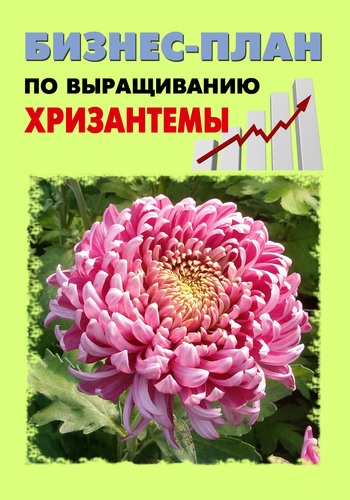 Шешко Павел - Бизнес-план по выращиванию хризантемы скачать бесплатно