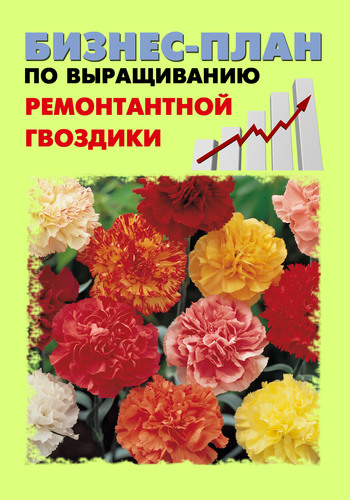 Шешко Павел - Бизнес-план по выращиванию ремонтантной гвоздики скачать бесплатно