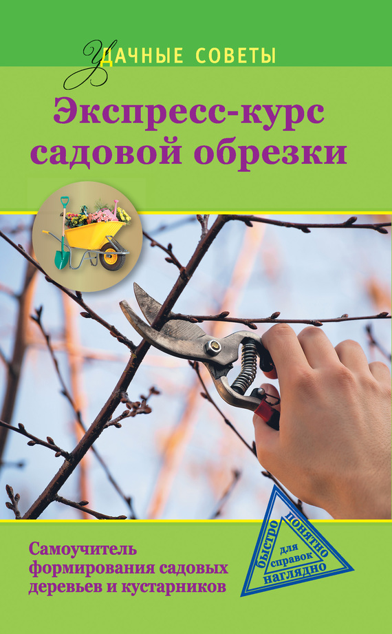 Окунева Ирина - Экспресс-курс садовой обрезки скачать бесплатно