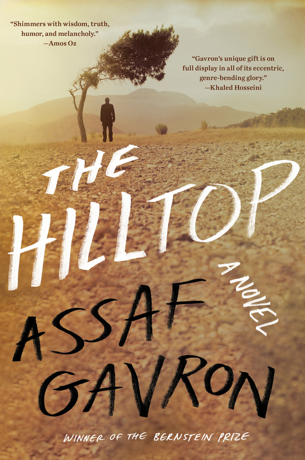 Gavron Assaf - The Hilltop скачать бесплатно