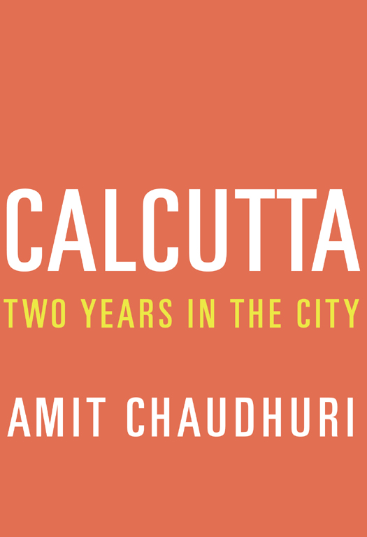 Chaudhuri Amit - Calcutta: Two Years in the City скачать бесплатно