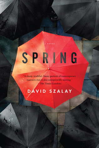 Szalay David - Spring скачать бесплатно