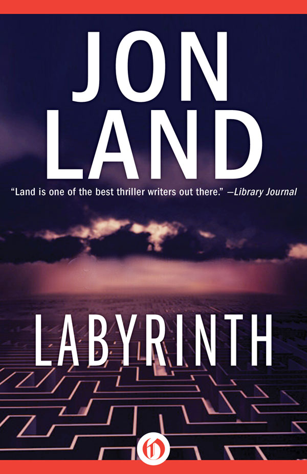 Land Jon - Labyrinth скачать бесплатно