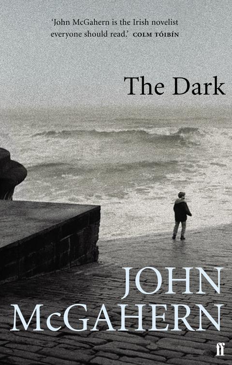 McGahern John - The Dark скачать бесплатно