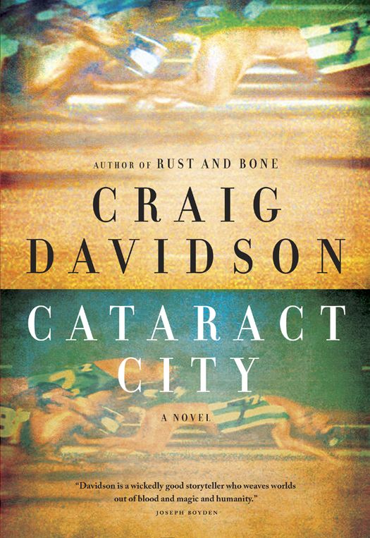 Davidson Craig - Cataract City скачать бесплатно