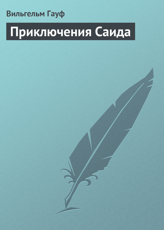 Гауф Вильгельм - Приключения Саида скачать бесплатно