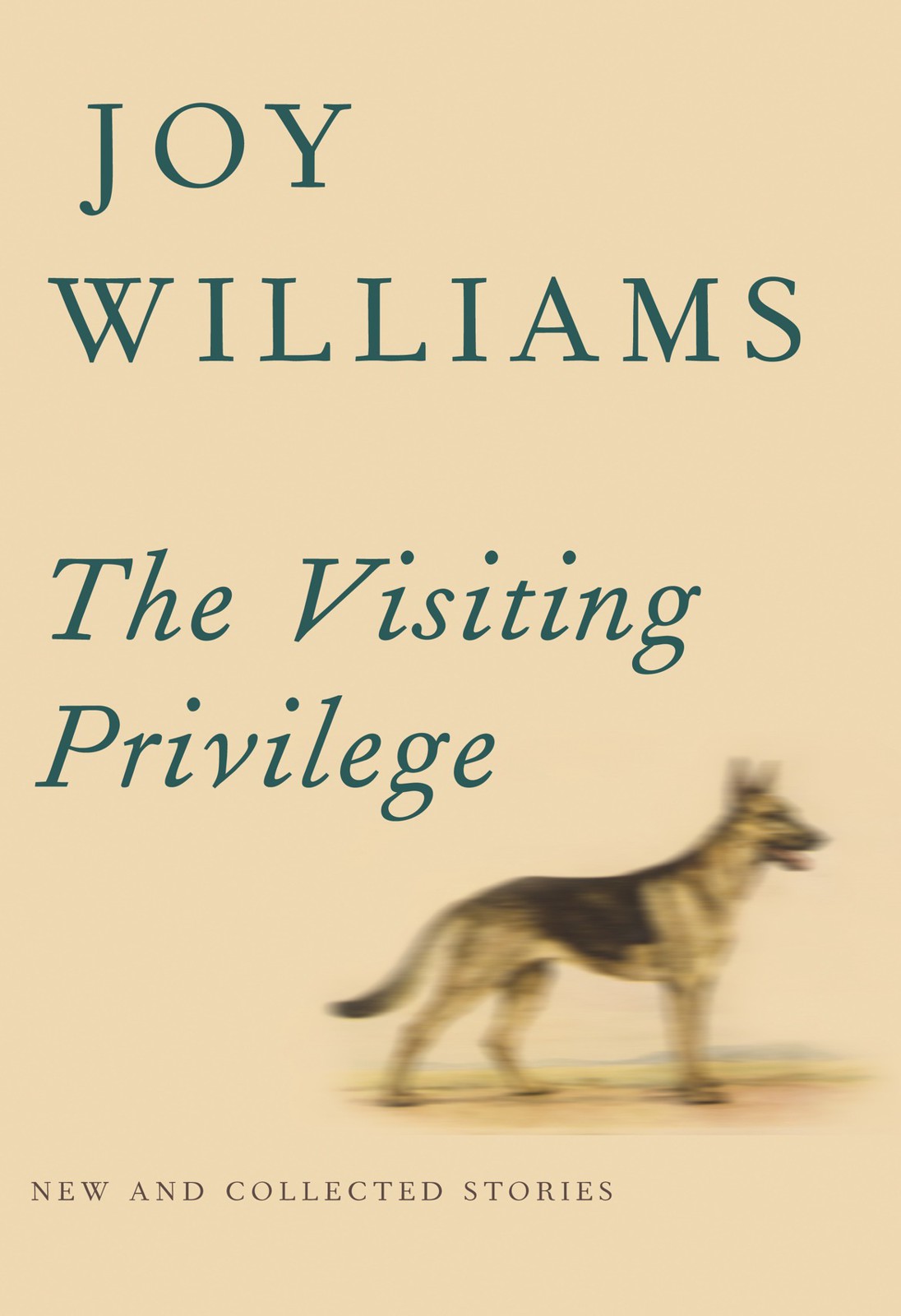 Williams Joy - The Visiting Privilege: New and Collected Stories скачать бесплатно