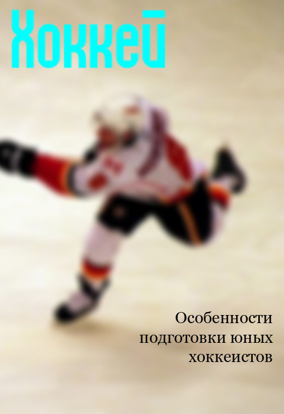 Мельников Илья - Особенности подготовки юных хоккеистов скачать бесплатно