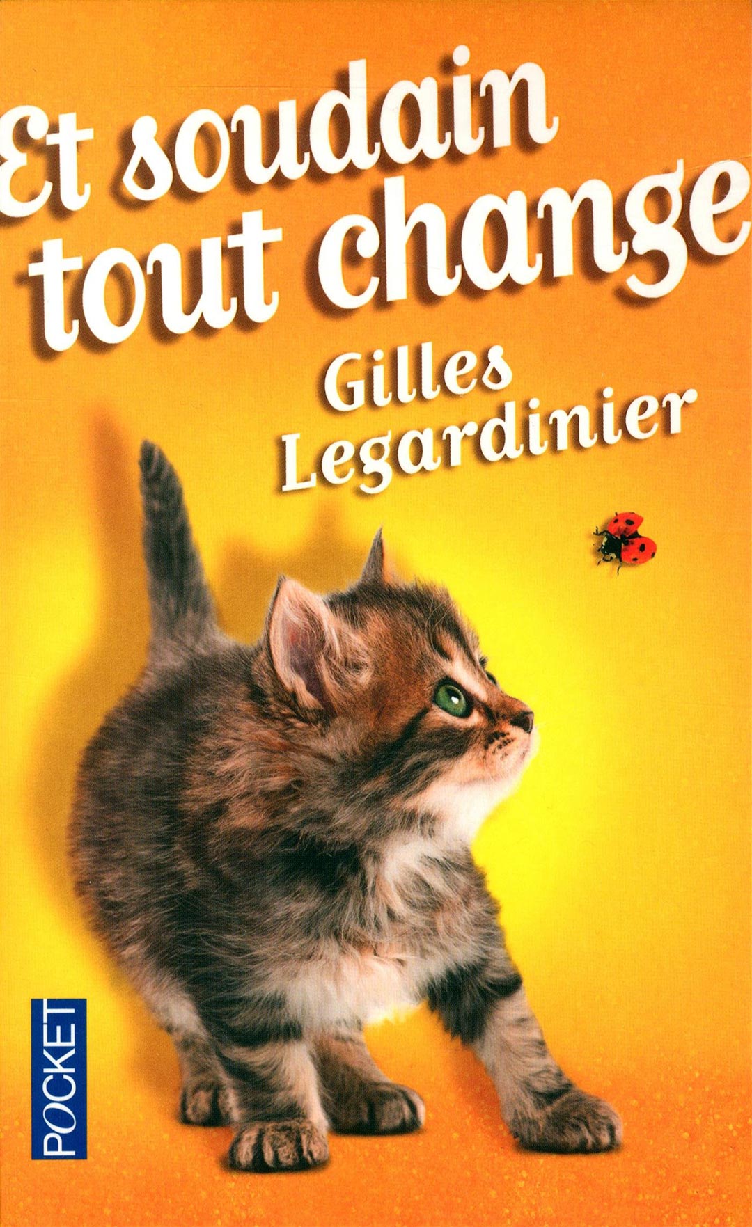 Legardinier Gilles - Et soudain tout change скачать бесплатно