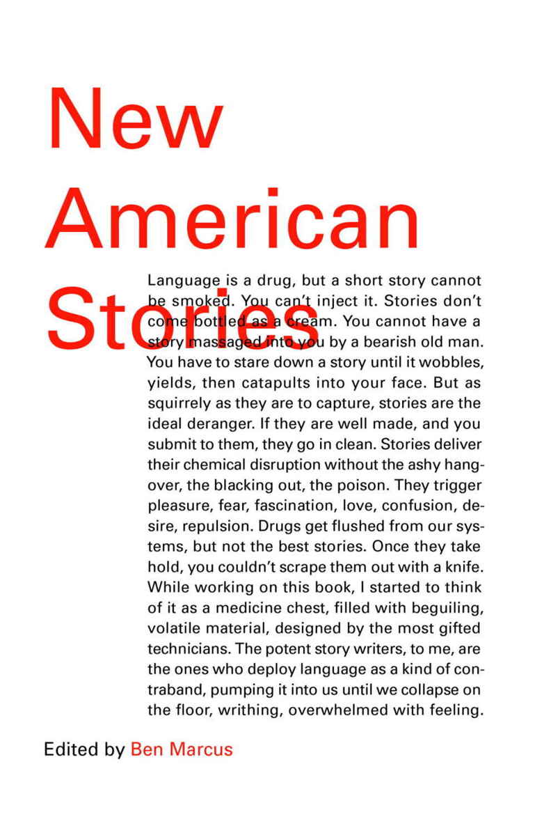 Sayrafiezadeh Saïd - New American Stories скачать бесплатно