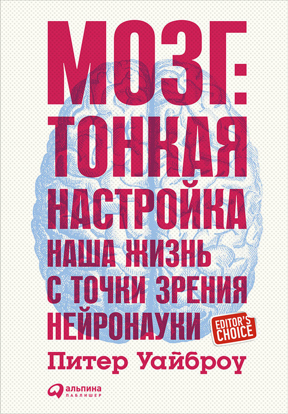 Уайброу Питер - Мозг: Тонкая настройка. Наша жизнь с точки зрения нейронауки скачать бесплатно