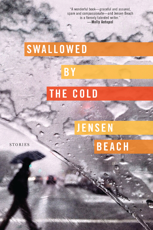 Beach Jensen - Swallowed by the Cold: Stories скачать бесплатно