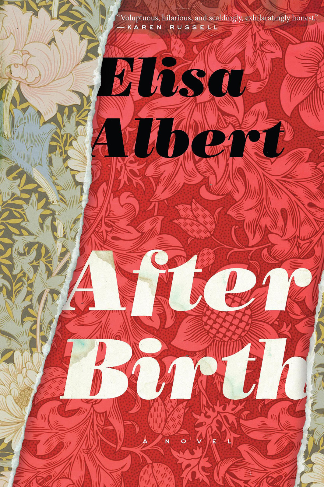Albert Elisa - After Birth скачать бесплатно