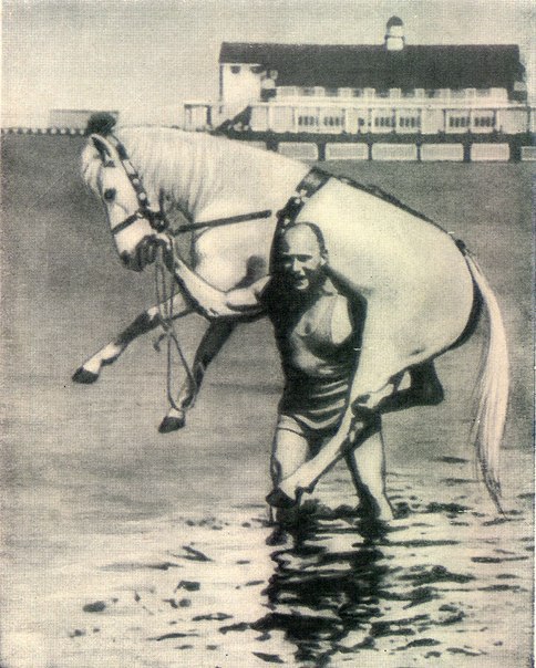 Семироль Анна - Конь на белом принце (СИ) скачать бесплатно