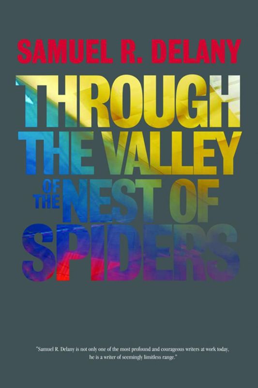 Delany Samuel - Through the Valley of the Nest of Spiders скачать бесплатно