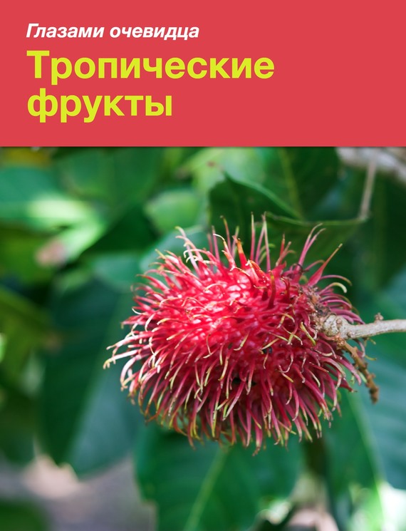 Серебряков Сергей - Тропические фрукты скачать бесплатно