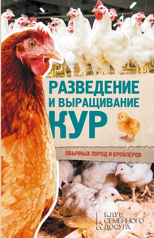 Пернатьев Юрий - Разведение и выращивание кур обычных пород и бройлеров скачать бесплатно
