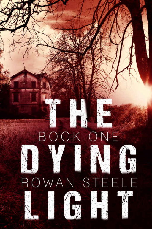 Steele Rowan - The Dying Light: Book One скачать бесплатно
