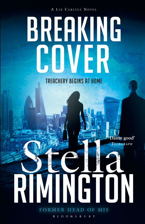 Rimington Stella - Breaking Cover скачать бесплатно