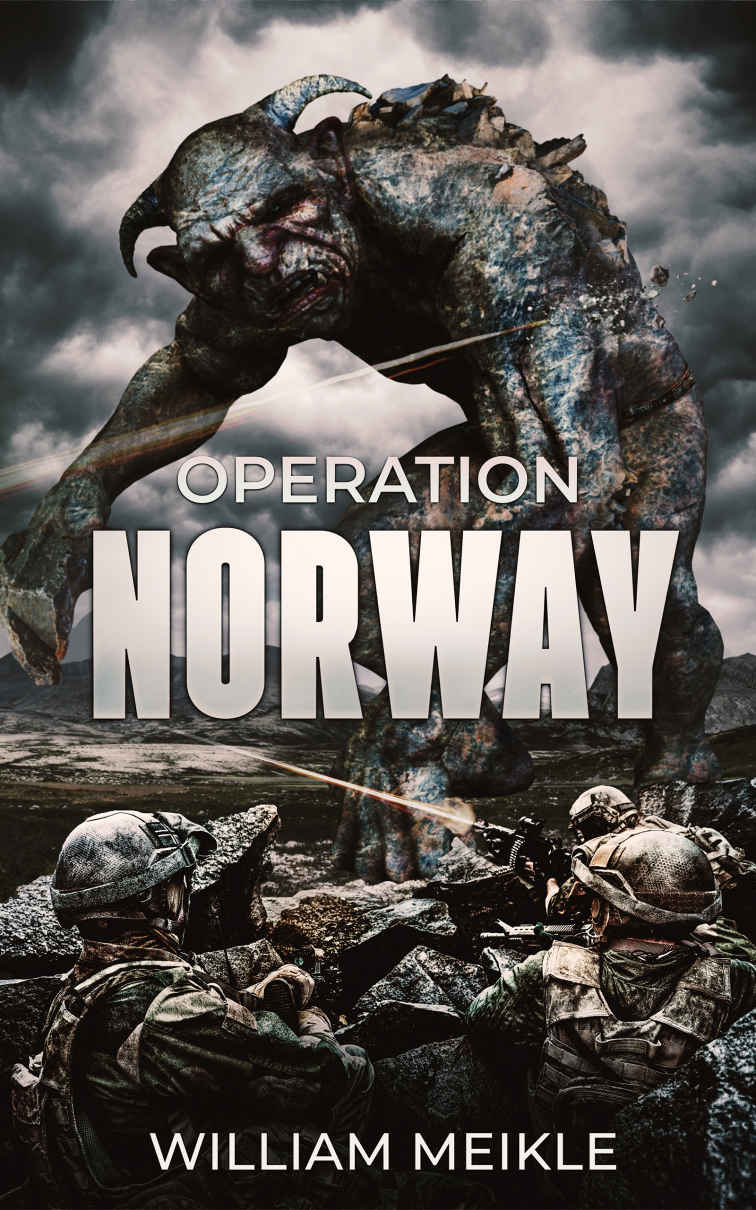 Meikle William - Operation Norway скачать бесплатно