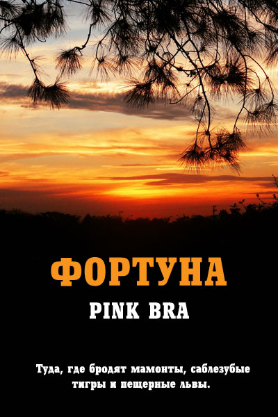 Bra Pink - Фортуна скачать бесплатно