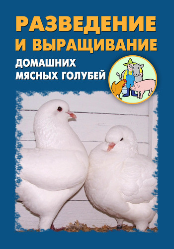 Автор неизвестен - Разведение и выращивание домашних мясных голубей скачать бесплатно