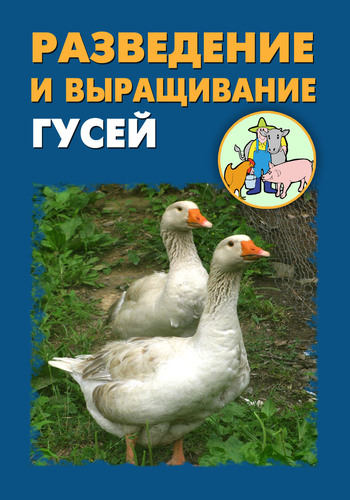 Автор неизвестен - Разведение и выращивание гусей скачать бесплатно