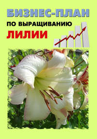 Автор неизвестен - Бизнес-план по выращиванию тюльпанов скачать бесплатно