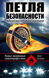 Гутиков Петр - Петля безопасности: хроника автомобильных катастроф скачать бесплатно