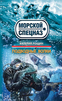 Рощин Валерий - Подводные волки скачать бесплатно