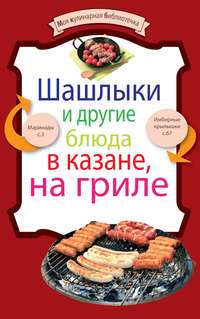 Сборник рецептов - Шашлыки и другие блюда в казане, на гриле скачать бесплатно