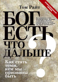 Райт Том - Бог есть. Что дальше? Как стать теми, кем мы призваны быть скачать бесплатно